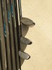 thumb_IMG_1704_1024.jpg