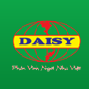 Sơn Daisy
